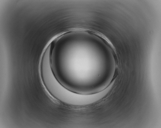 X0000114611195200910201146