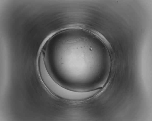 X0000114611196200910201146