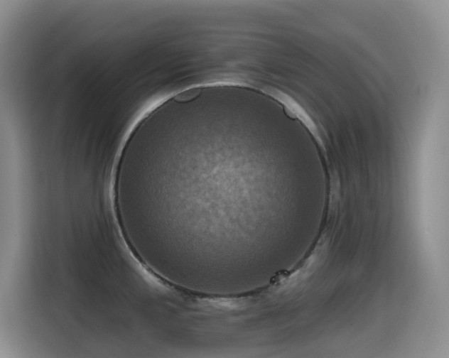 X0000114611197200910201146