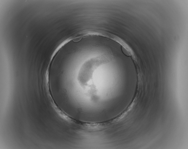 X0000114611198200910201146