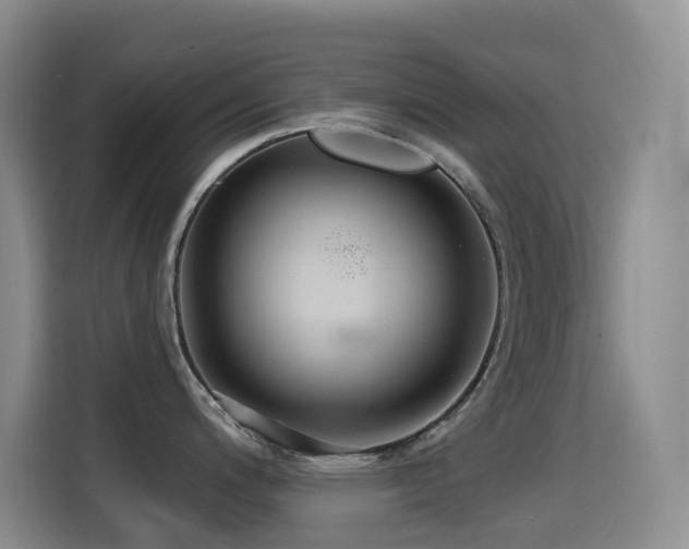 X0000114611200200910201146