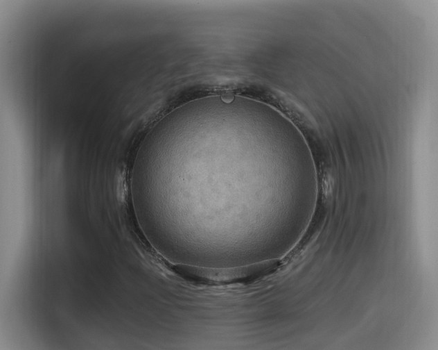 X0000114611204200910201146