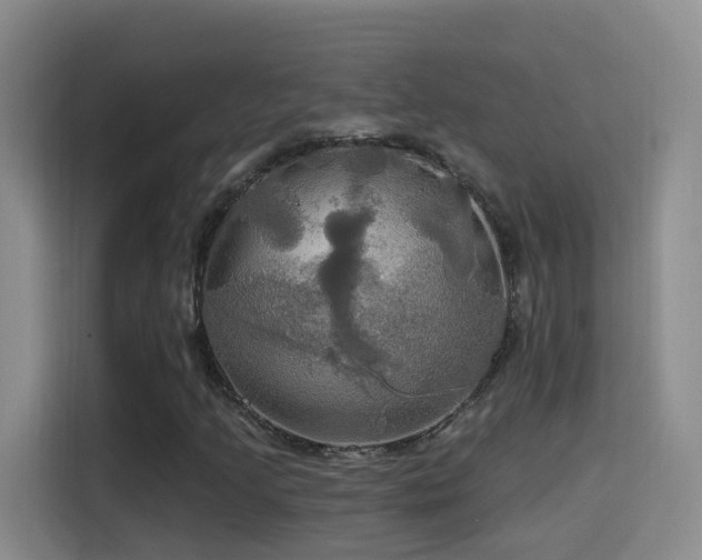 X0000114611205200910201146