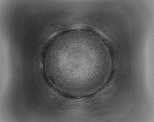 X0000114611206200910201146