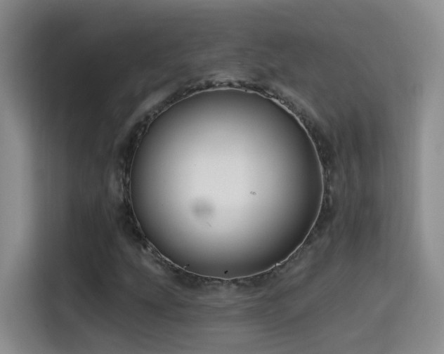 X0000114611207200910201146