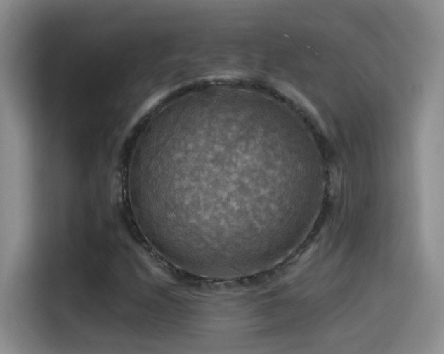 X0000114611208200910201146