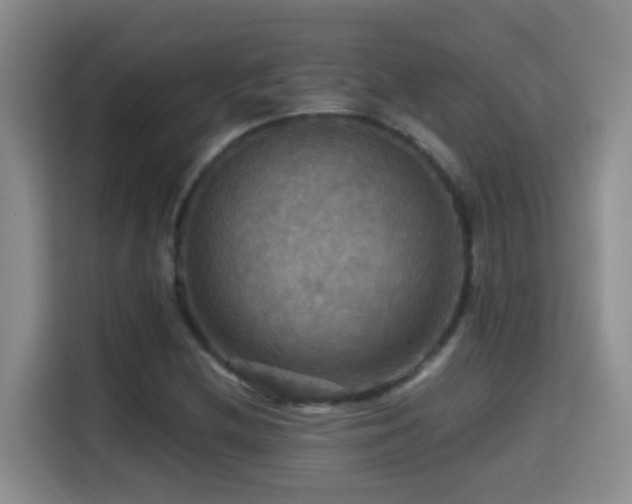 X0000114611212200910201146