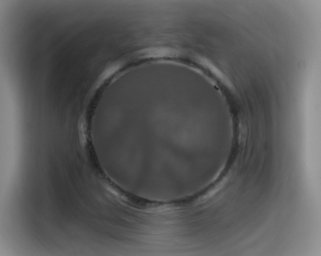 X0000114611213200910201146