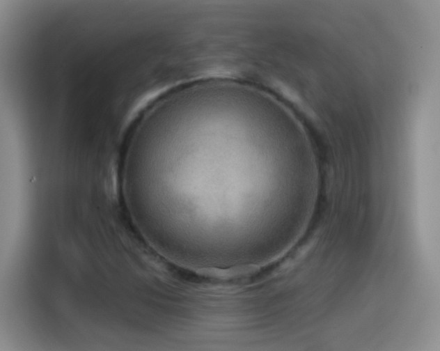 X0000114611214200910201146