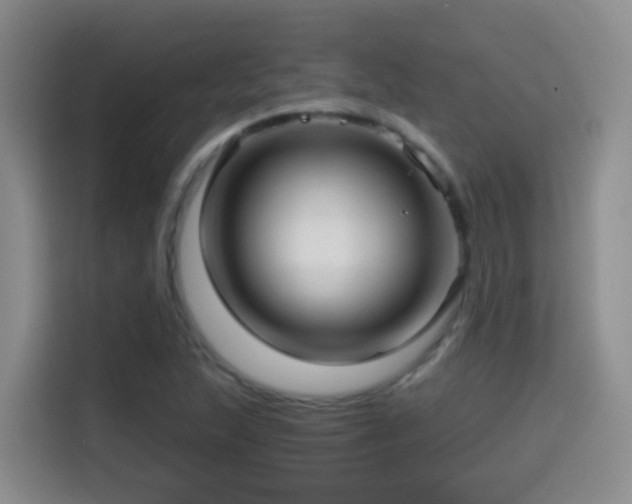 X0000114611215200910201146