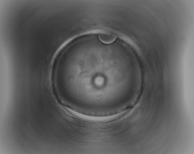 X0000114611216200910201146