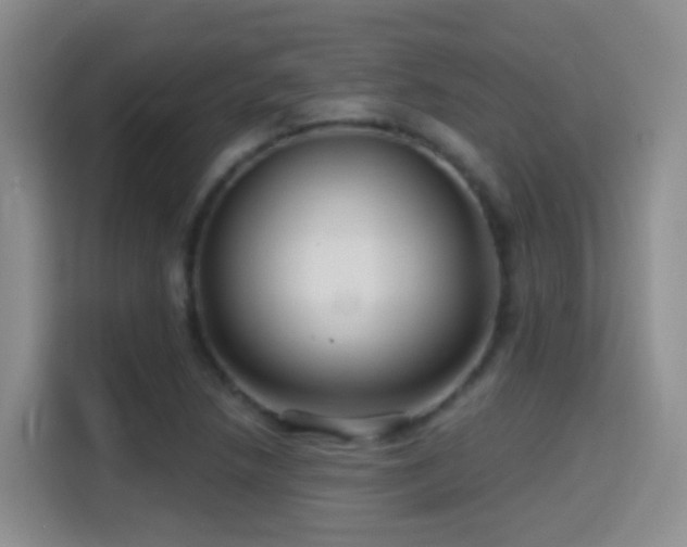 X0000114611218200910201146