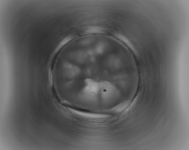 X0000114611219200910201146