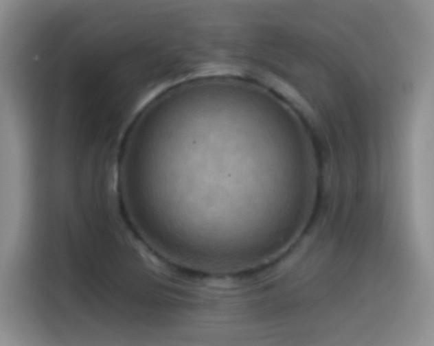 X0000114611220200910201146