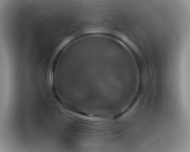 X0000114611221200910201146