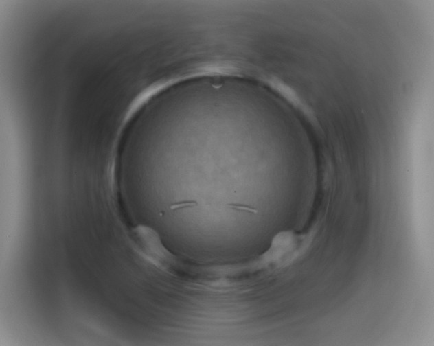 X0000114611222200910201146