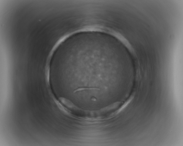 X0000114611224200910201146