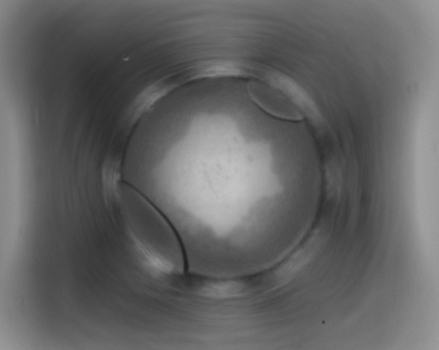 X0000114611225200910201146