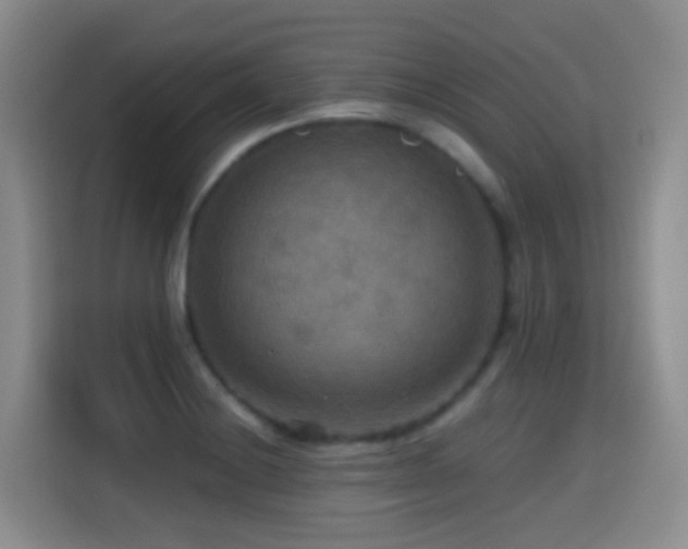 X0000114611228200910201146