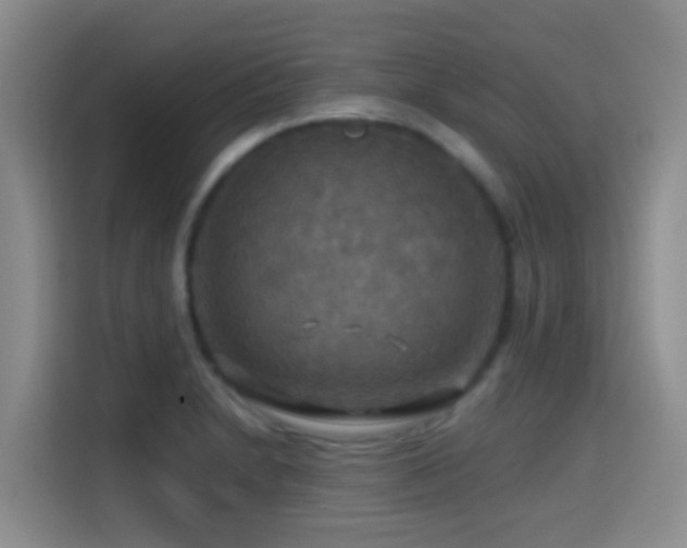 X0000114611230200910201146