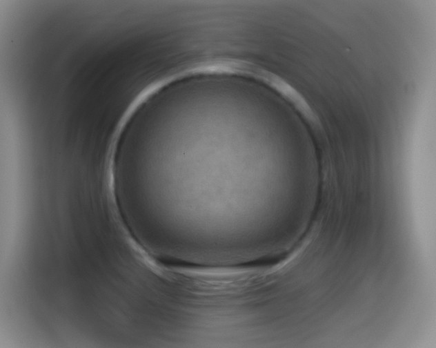 X0000114611232200910201146