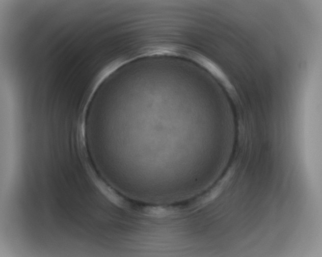 X0000114611234200910201146