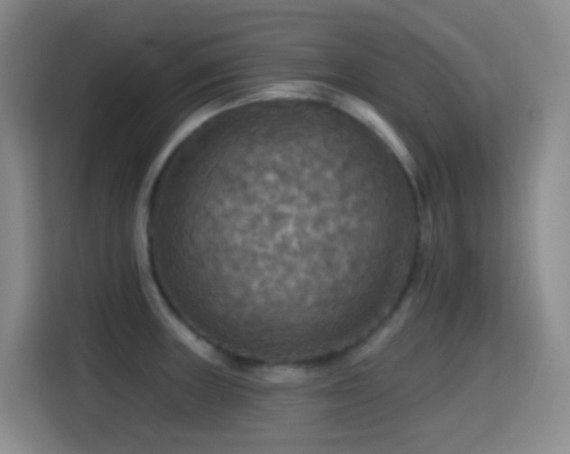 X0000114611235200910201146