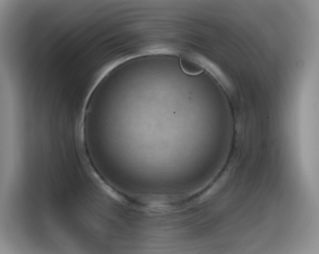 X0000114611236200910201146