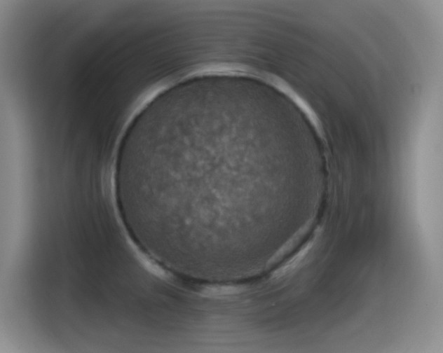 X0000114611237200910201146