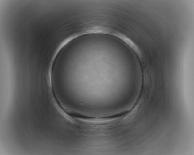 X0000114611238200910201146