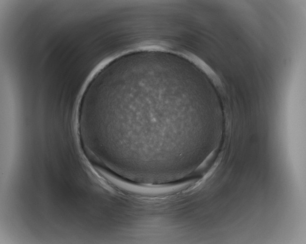 X0000114611240200910201146