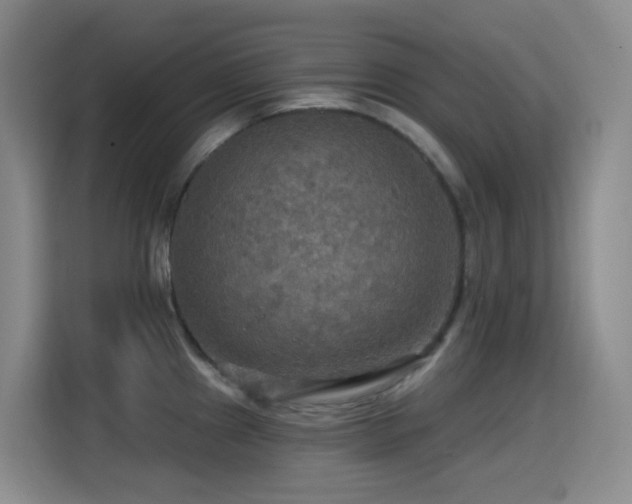 X0000114611241200910201146