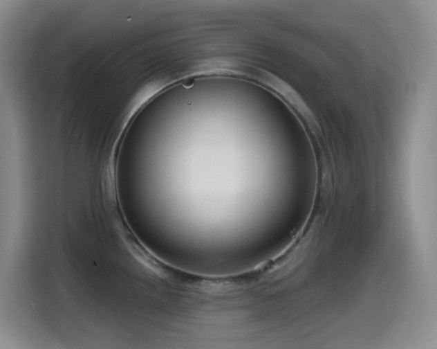 X0000114611242200910201146