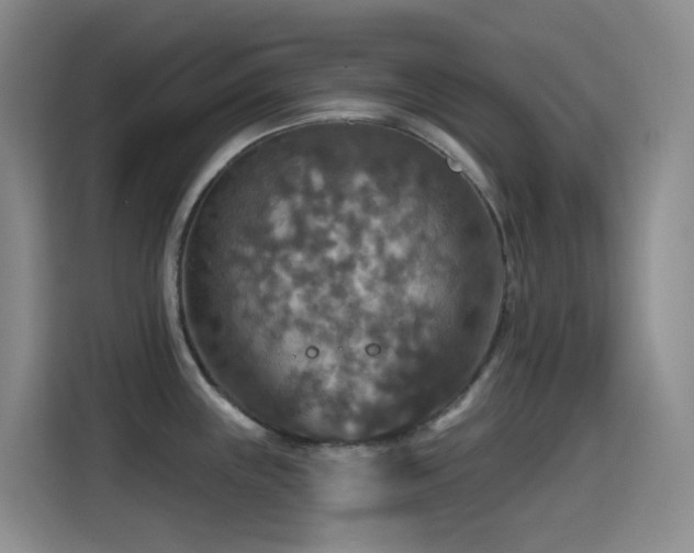 X0000114611243200910201146