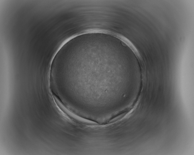 X0000114611244200910201146