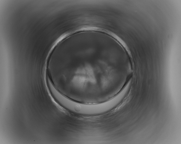 X0000114611245200910201146