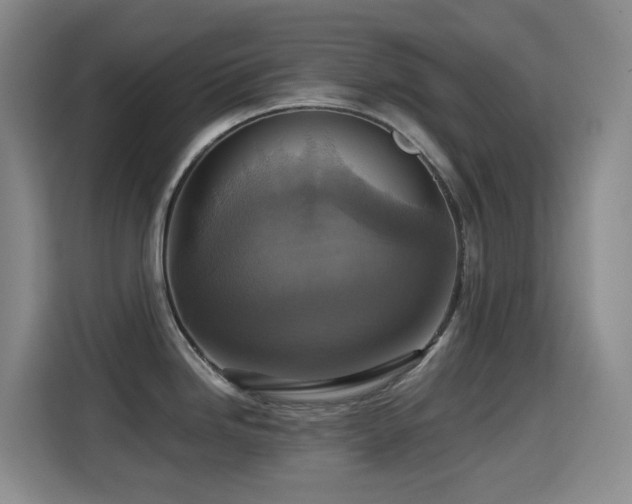 X0000114611246200910201146