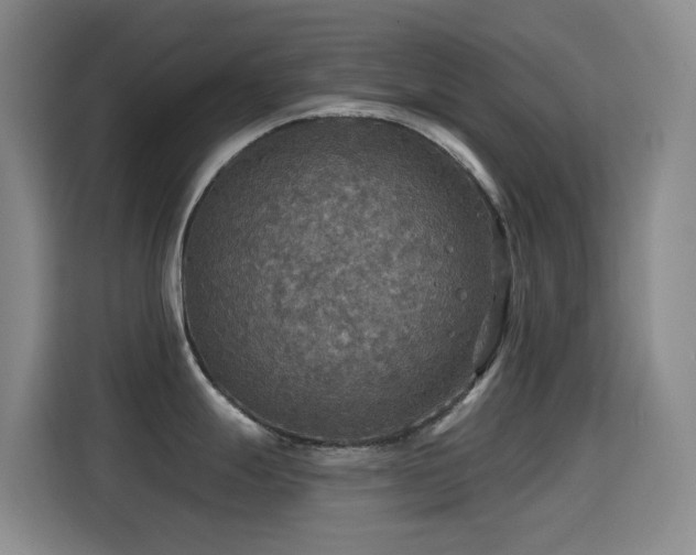 X0000114611247200910201146