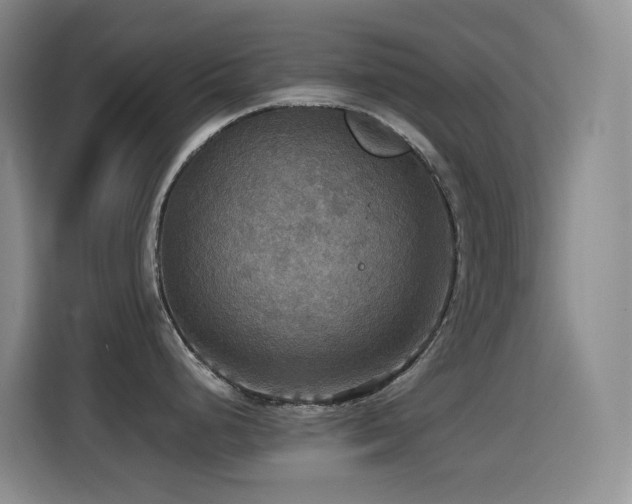 X0000114611248200910201146