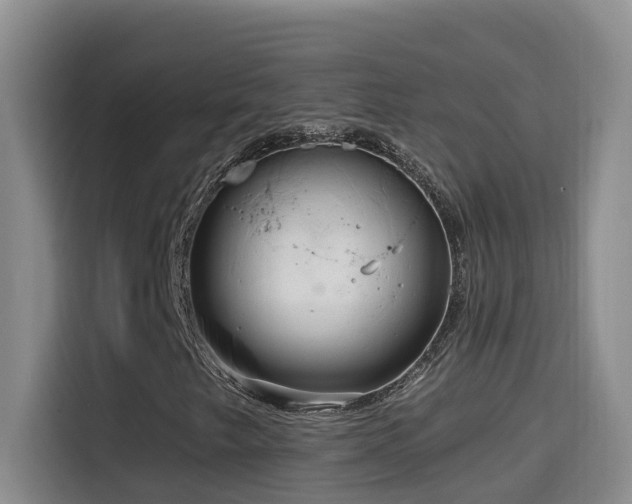 X0000114611249200910201145