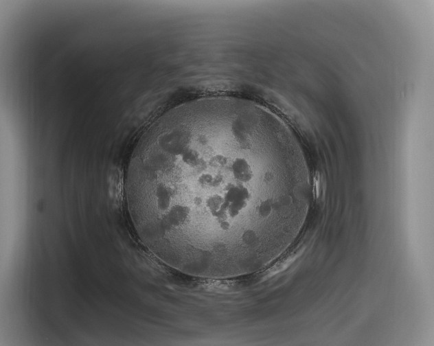 X0000114611251200910201145