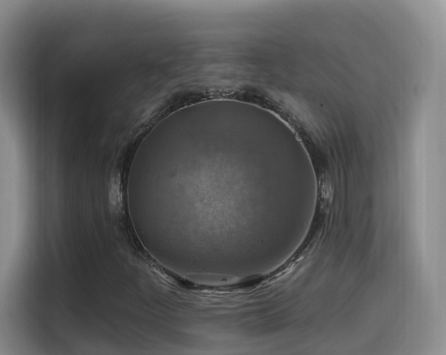 X0000114611252200910201145