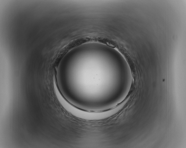 X0000114611253200910201145