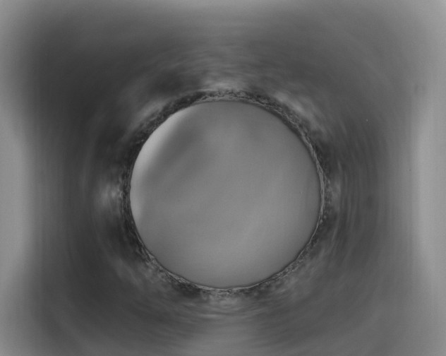 X0000114611254200910201145