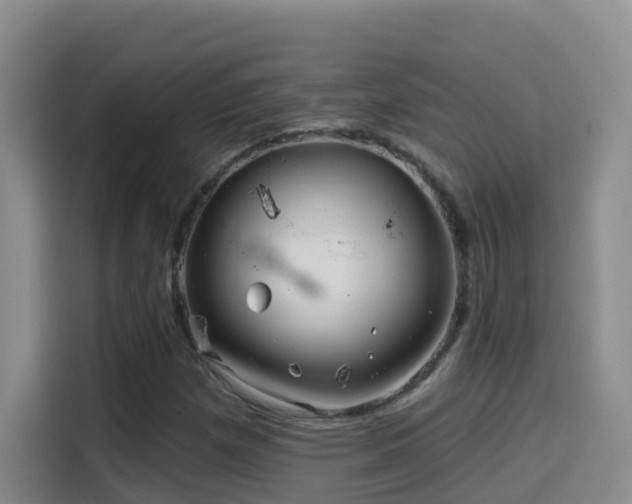 X0000114611257200910201145