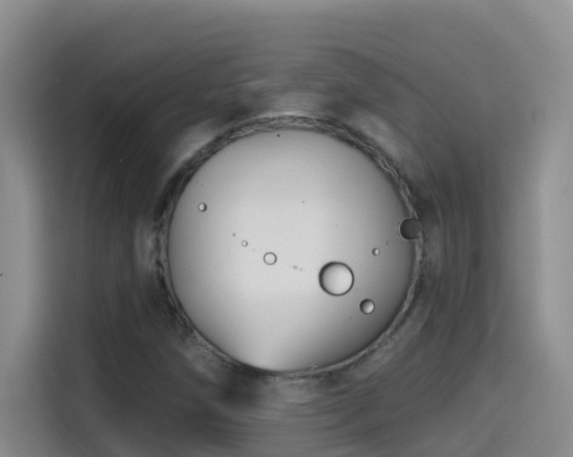 X0000114611258200910201145