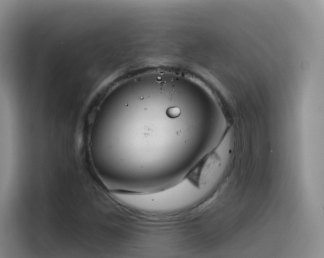 X0000114611261200910201145