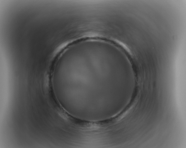 X0000114611263200910201145