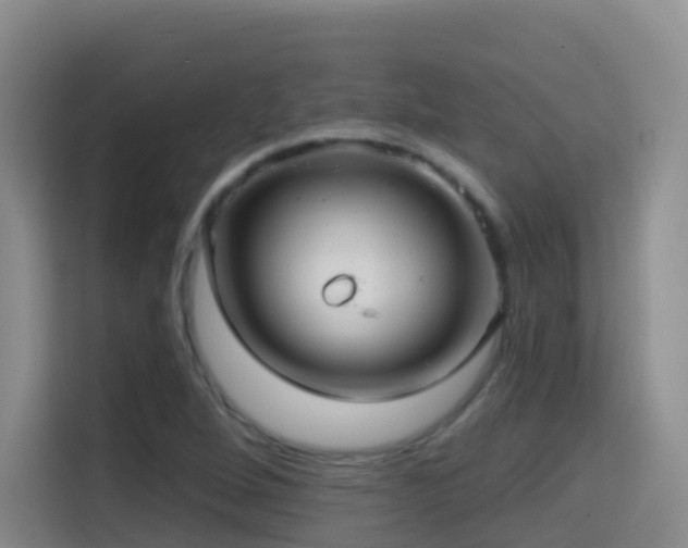 X0000114611264200910201145