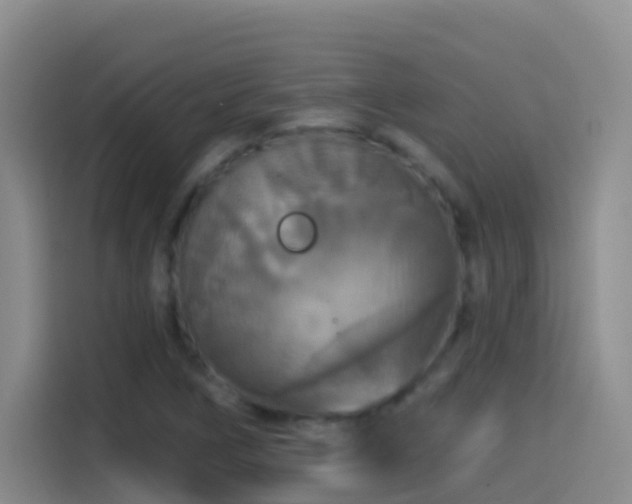 X0000114611266200910201145